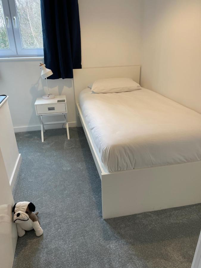The Beeches - Serviced Duplex Apartment Sheffield Zewnętrze zdjęcie
